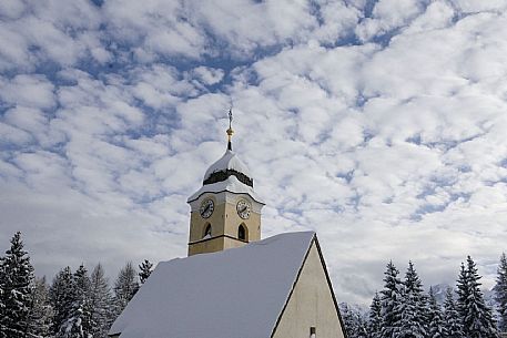 Snowy landscape 